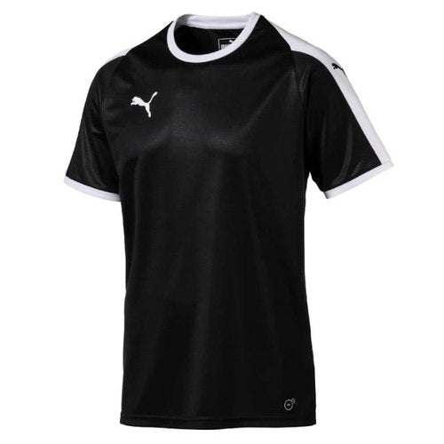 Puma Pitch Team Jersey