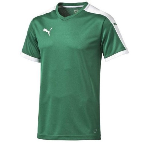 Puma Pitch Team Jersey