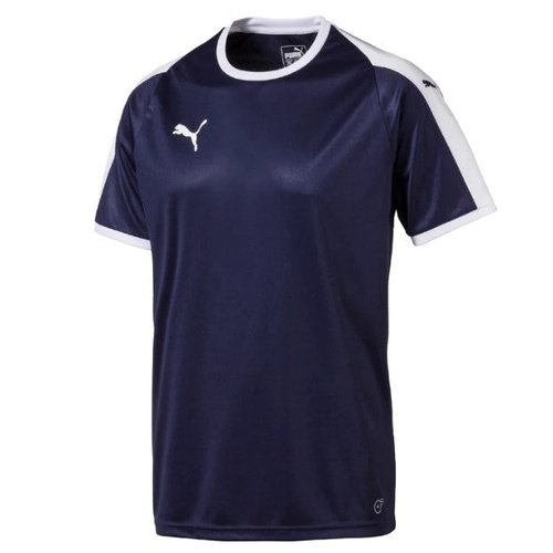 Puma Pitch Team Jersey