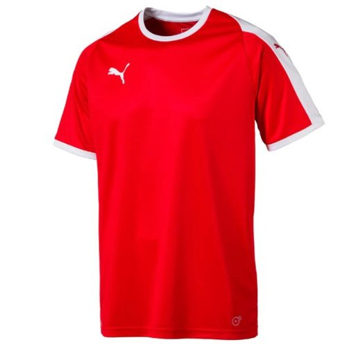 Puma Pitch Team Jersey