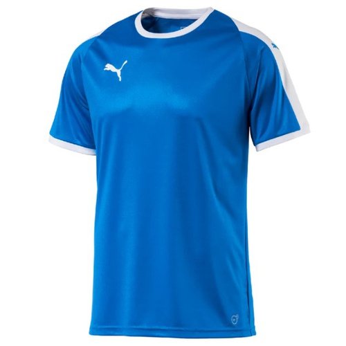 Puma Pitch Team Jersey