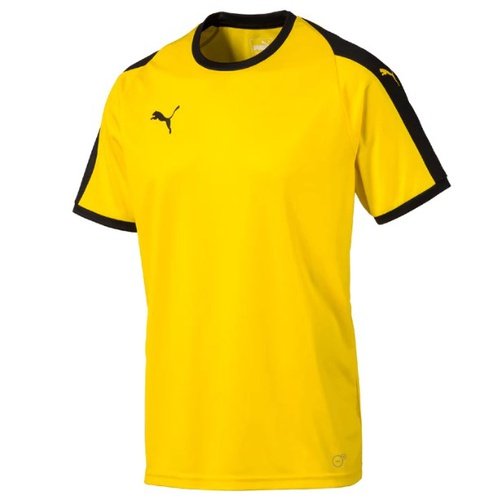 Puma Pitch Team Jersey