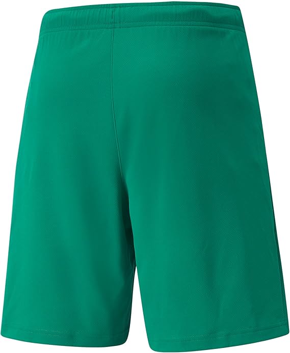 Puma teamRise Short
