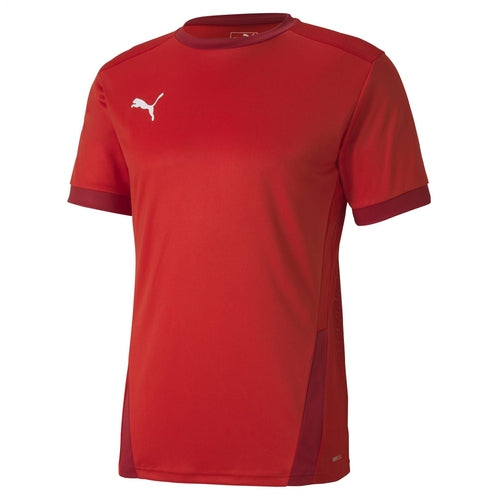 Puma teamGoal 23 Jersey