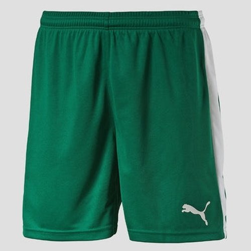 Puma Pitch Short