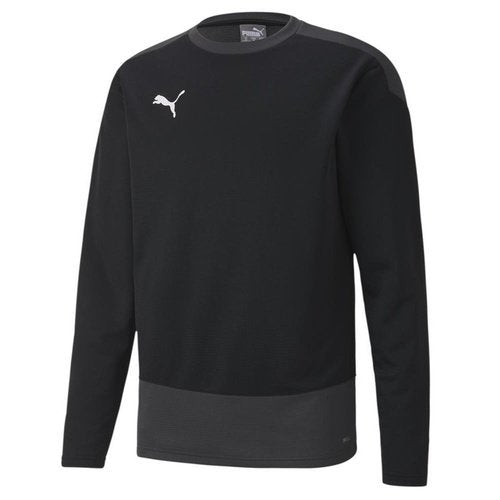 Puma teamGoal 23 Training Sweat