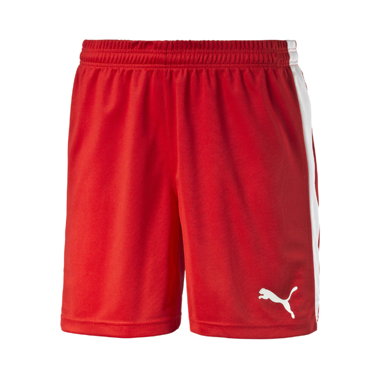 Puma Pitch Short