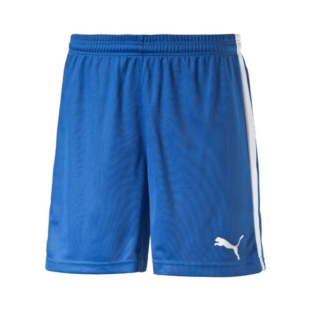 Puma Pitch Short